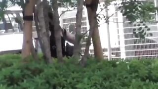 Public Peeping Tom - Asians Fetish Scene with Old Man