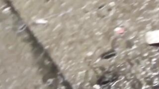 Hairy Bush Outdoor Adventure - Public Piss Fun with Honey Bunny