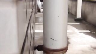 Public Squirting Frenzy #3 - Hot Asian Girls Exposed