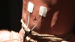 Electro-Domination: Bound Jocker Gets Electrified by His Dominant Mistress