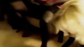 Blondes Do It Better - Interracial Orgy Featuring Big Black Dick