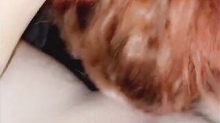 Point of View" Exclusive Interview with Pornstar Ava Addams & Facial Blowjob Compilation