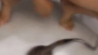 Steamy Solo Shower Massage Orgasm