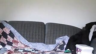 Humiliated BBW Ex Rides Her Interracial Stud