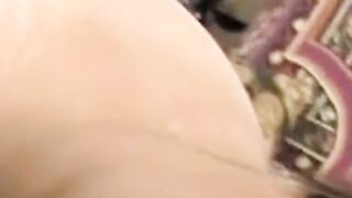 Interracial Bareback Cuckold For Slutwife Suelee