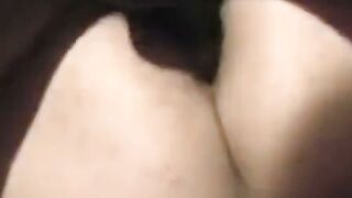 Interracial Bareback Cuckold For Slutwife Suelee