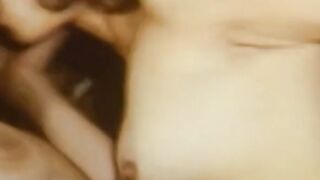 Deutscher Vintage-Stil: Behaarter Amateur-Retro Hoe 2