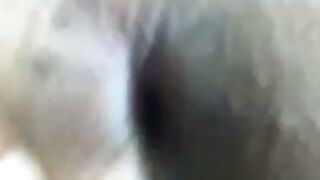 Indian Amateur Girl Anal POV Webcam