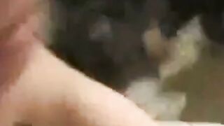 Asian Amateur Close-Up Pussy Webcam Action Hoe 3