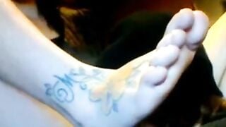 Cafe Masturbation Webcam Show