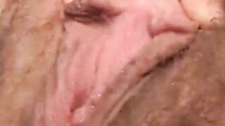 Hairy Clit and Pussy Lips Exposed