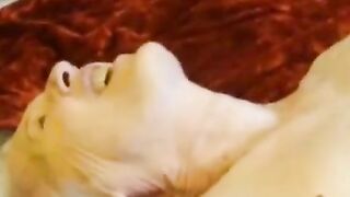 Mature Blonde Sue Takes On a Sex Toy and More
