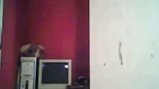 Brazilian Hottie's Sensual Masturbation Session - Exotic Dancer Strips Down Live
