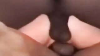 Anal Frenzy #2 - Group Sex Party With Top-Notch Performers