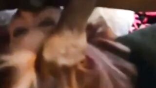 Black Monster Dick Fucks White Pussy - Exclusive POV Blowjob & Creampie