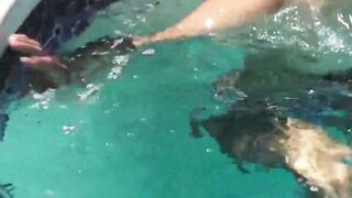 Poolside Ass-Dive Action With Sexy Couple - Alex Chu & Rica Trujjolo