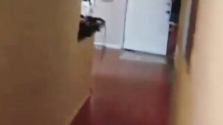 POV: Exclusive MILF Blowjob & Dildo Sex on Kitchen Counter