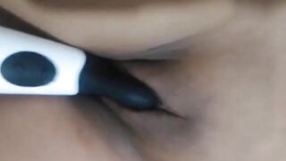 Dahlia tests a new toy