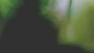 Asian Couple's Public Indiscretion