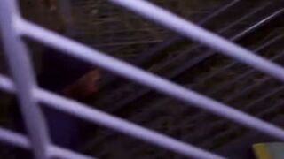 Annika Aurora Takes a Big Black Cock