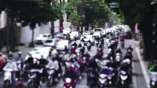 Luna and Tazz Return to Vietnam