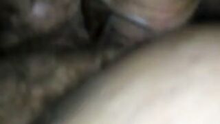 Hairy Amateur Spricity