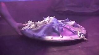 VINTAGE XXX Nasty Tales - (The Retro Experience) - VOL #36