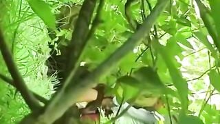 Wild Outdoor Blowjob and Hardcore Sex in the Woods