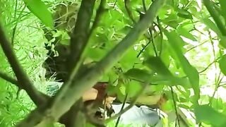 Wild Outdoor Blowjob and Hardcore Sex in the Woods
