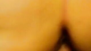 Amateur Housewife's Cheating Chronicles