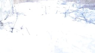 college girl Teen Risks Public Blowjob in Park