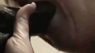 Florida Wife Gets BBC in Doggy Style