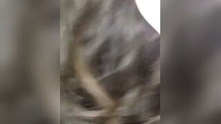 Italian Amateur Girl Deepthroats Cock in Car