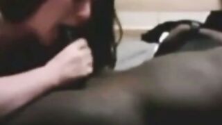 Webcam Amateur White Girl Sucks BBC