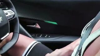 Adriana Chechik & Stacy Silver: Vehicle Anal with a Stranger