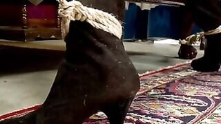 Mz Berlin & Ariel X Pantyhose Tribbing Lesbian Domination