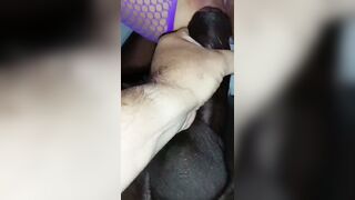 Interracial Bareback Cuckold: Slutwife Sucks Black Cock