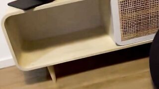 Plaid Skirt Teen Deepthroats POV Dick & Swallows Cum on Belly