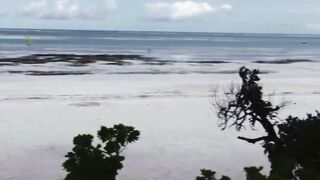 Asian MILF Sex in Zanzibar Beachside Sun