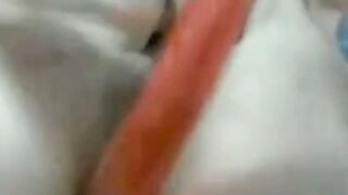 Extreme Anal Dildo Webcam Show