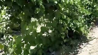 Sasha Deepthroats big black dick inside Farm Field while Butt Nailed