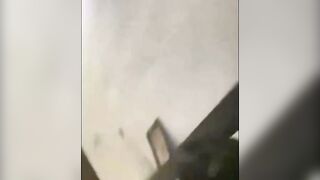 Desi Indian Lovers Secret Webcam Sex Scene MMS