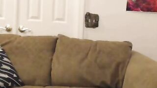 Big-Titted Amateur Babe Takes on a Stud's Hard Fucking
