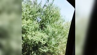 Valentina Vaughn Blows Penis Into Uber Backseat