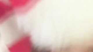 Redhead Amateur Gives a Christmas Blowjob