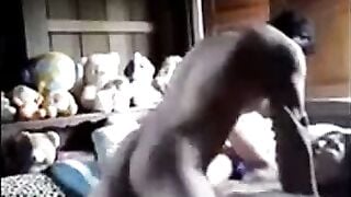 Amateur Asian Babe From Indonesia Reaches Orgasm Hoe 2