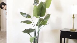 Sophia Locke Professional-Domme Stepmom Facials Inked Stepson