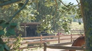 Emily Deepthroats Massive Horse Dick in Sunny Stable