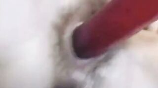 Hairy Amateur Girl Plays with Anal Hole on Webcam