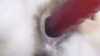 Hairy Amateur Girl Plays with Anal Hole on Webcam